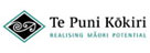 TPK Logo
