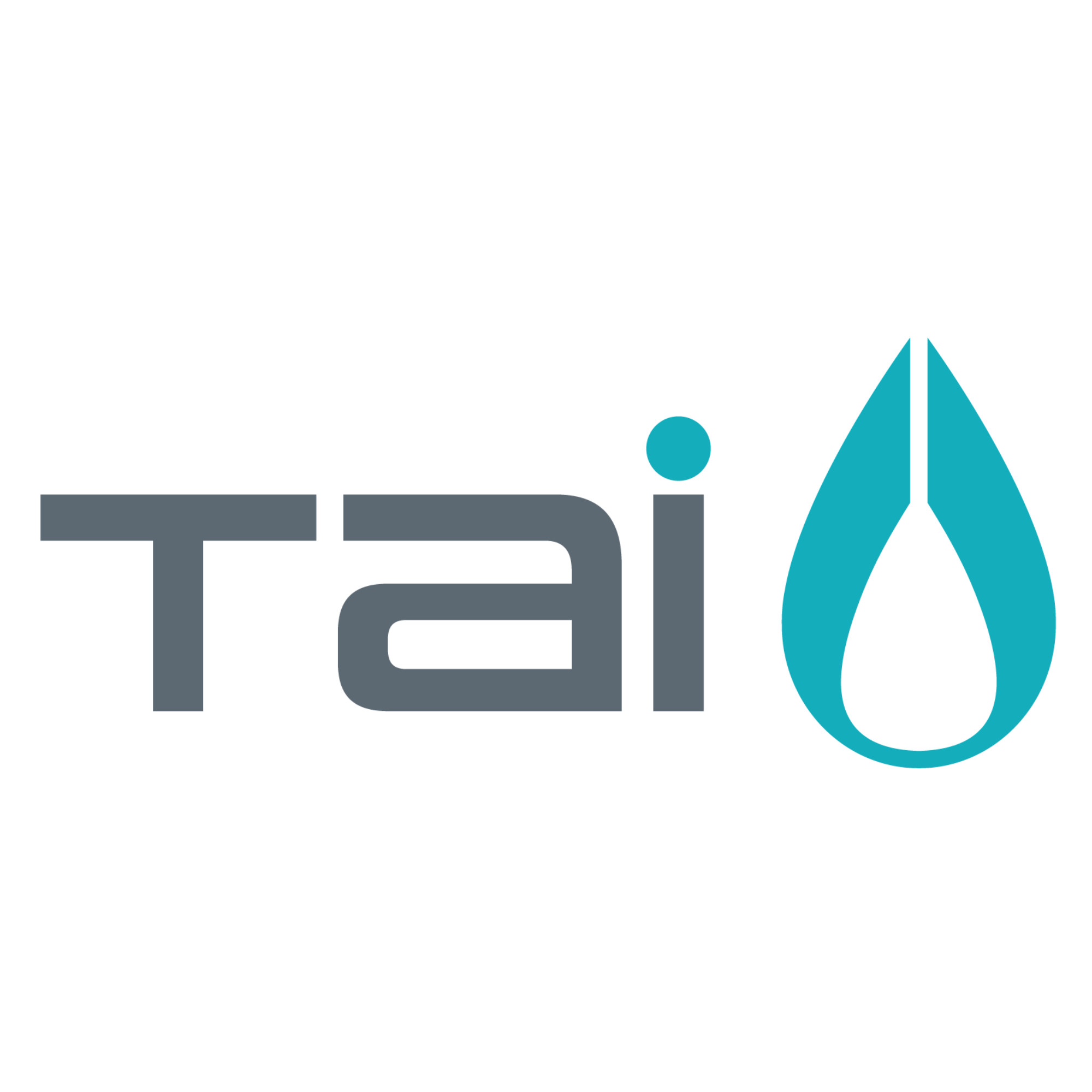 Tai Paddles