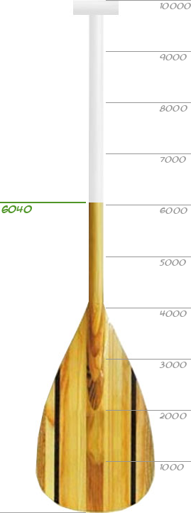 Membership Thermometer